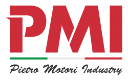 Pietro Motori Industry